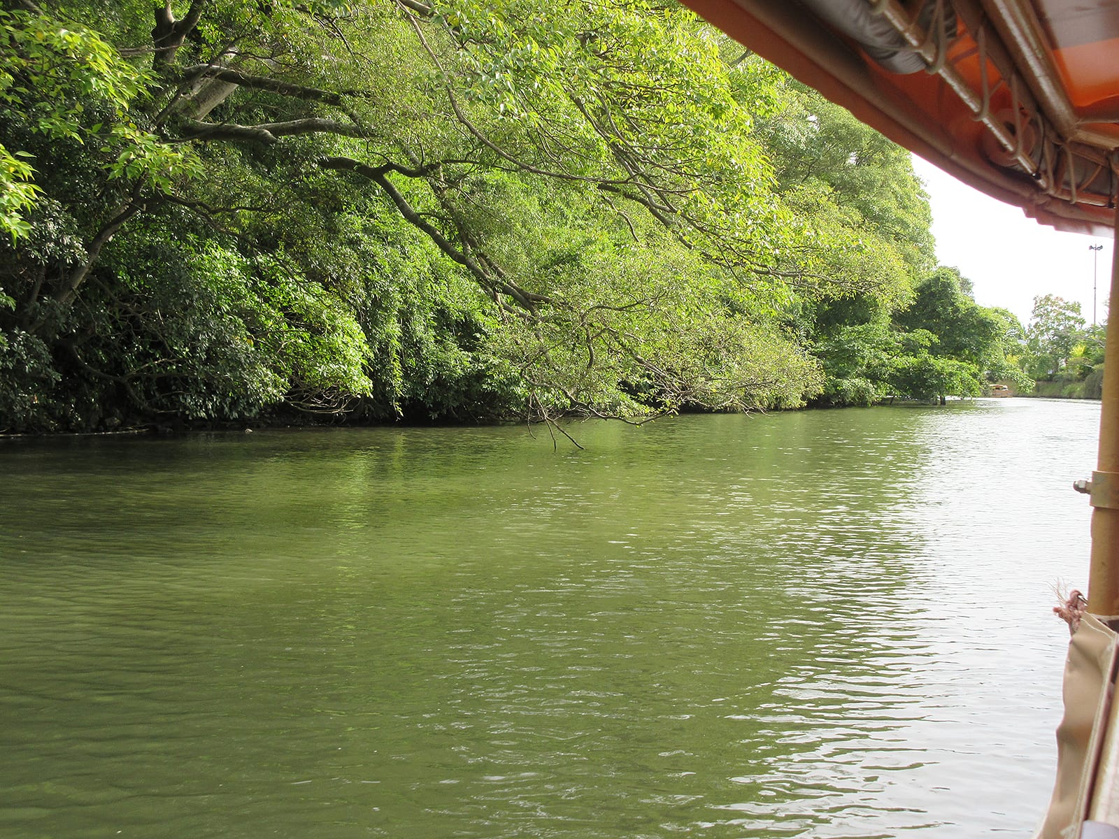 豊かな自然が広がります